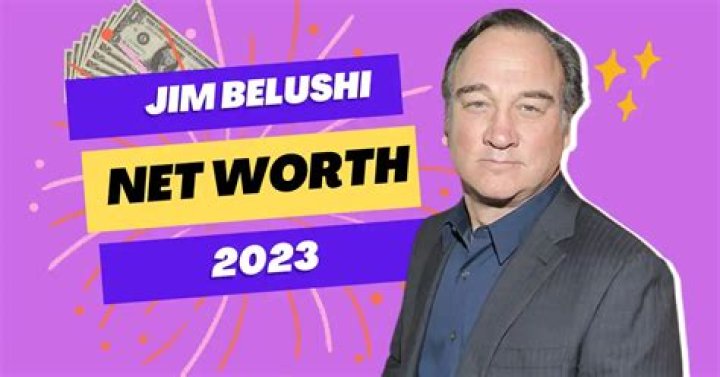 Jim Belushi Net Worth 2023 Wiki, Married, Family, Wedding, Salary