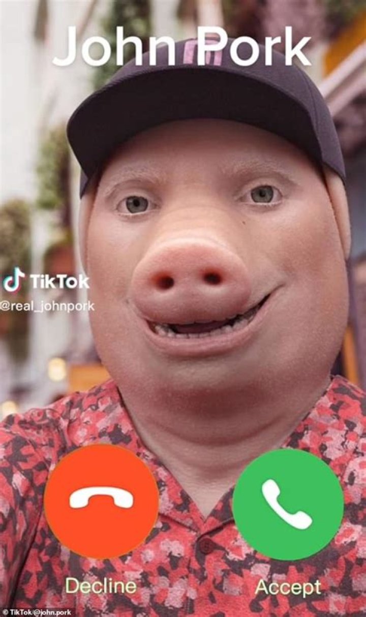 John Pork Net Worth Virtual Influencer Wife And Family