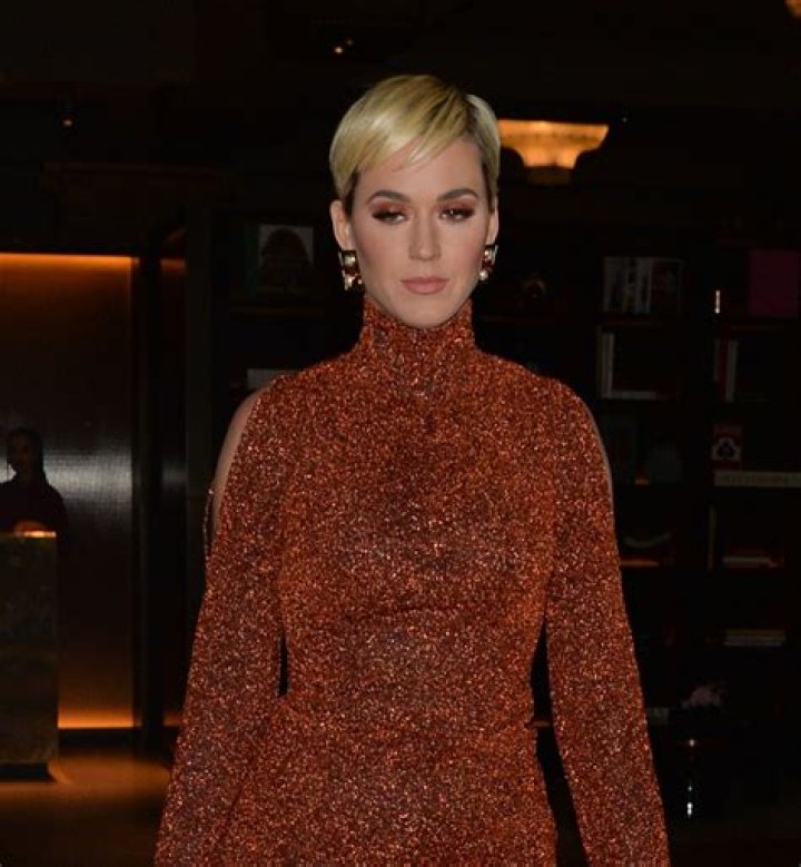 Katy Perry Shows Off Her Bikini Body While Holding Hands With Orlando