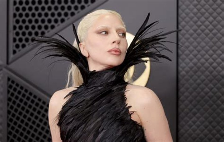 Lady Gaga's crotch at the 52nd Annual GRAMMY Awards