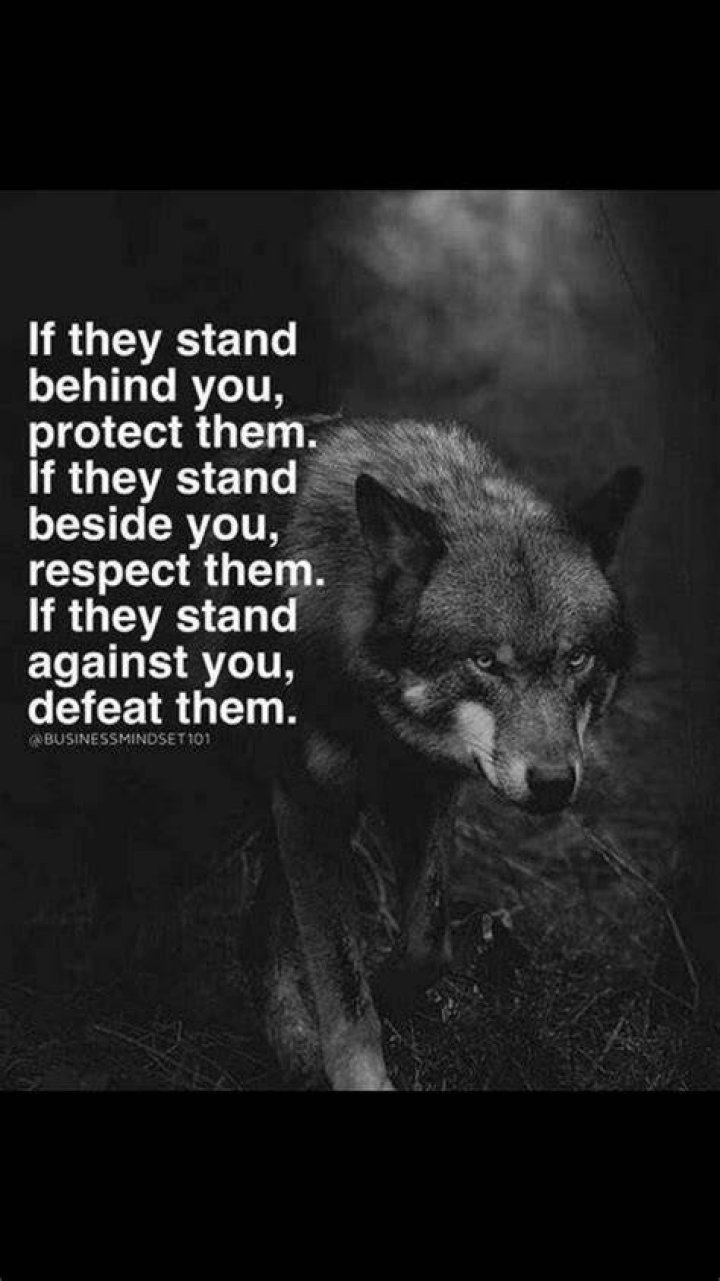 Leadership Alpha Female Wolf Quotes ShortQuotes.cc