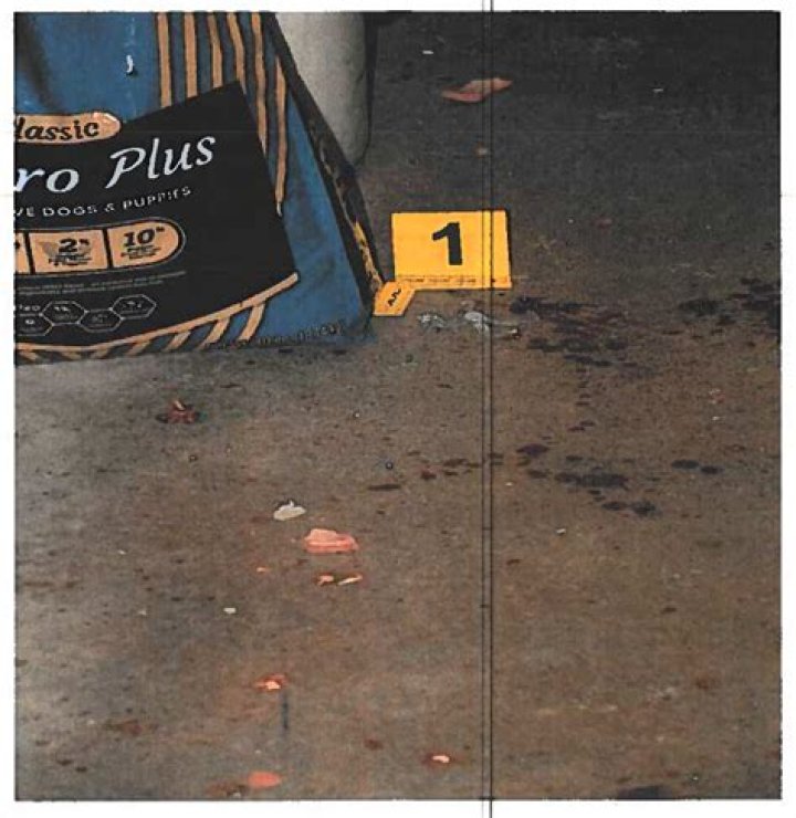 List 7 paul murdaugh autopsy photos best , don't miss BSS news
