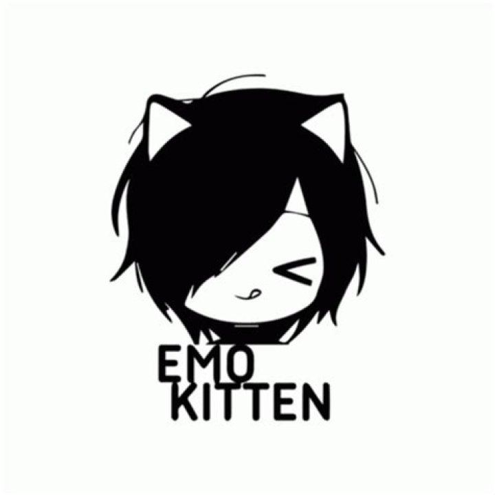 Little emo kitten