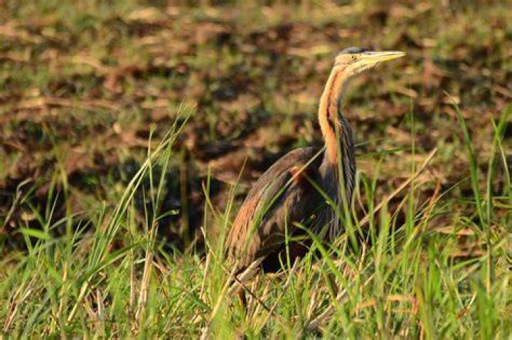 MarÃa Garza MarÃa Garza