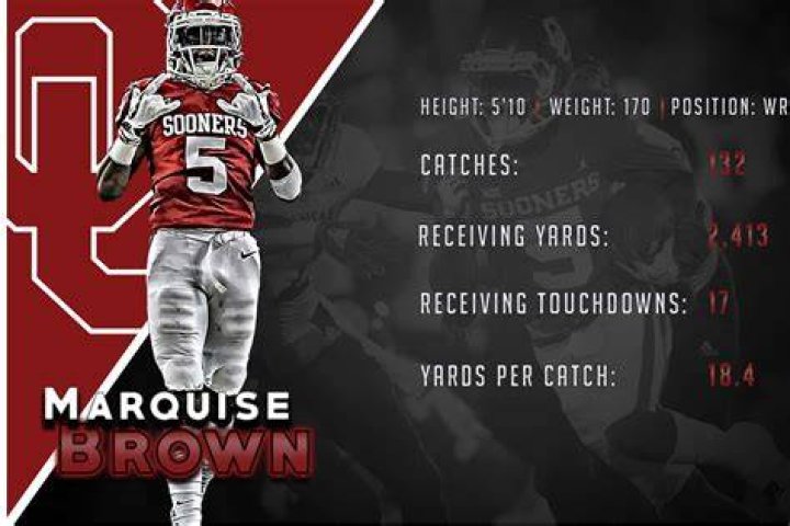 Marquise Brown Stats, Profile, Bio, Analysis and More Baltimore