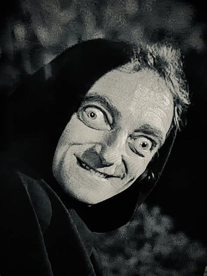 Marty Feldman Profile Images &mdash; The Movie Database (TMDb)