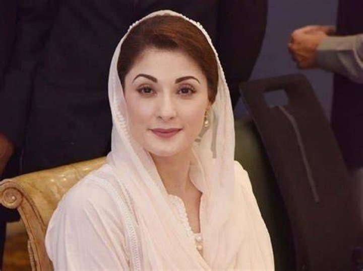 Why Was Maryam Nawaz Son Junaid Safdar Arrested | Family Maryam Nawaz