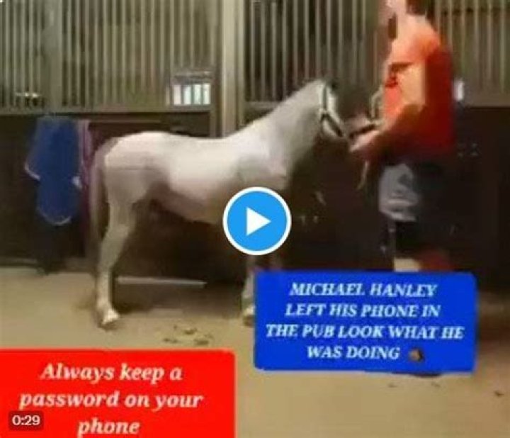 Michael Hanley Horse Video Viral On Twitter And Reddit 01/2024