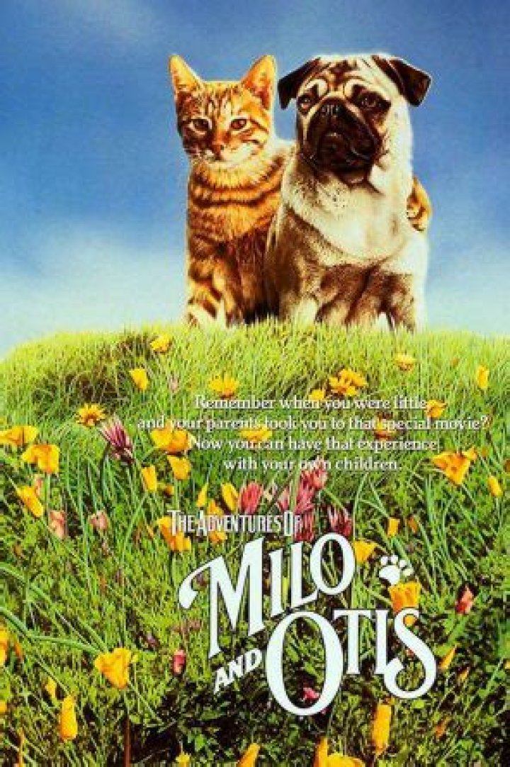Milo And Otis Review Movies4Kids