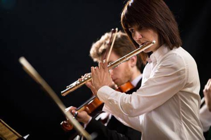 Musician