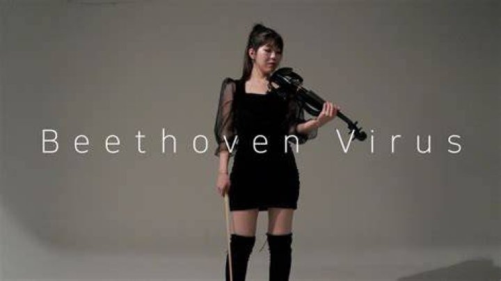 [New Version] Beethoven Virus - Electric Violin COVER - violin cover rock songs