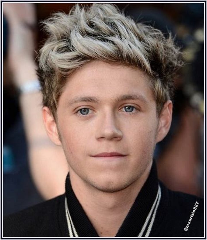 Niall Horan 2013 One Direction Photo (35380911) Fanpop