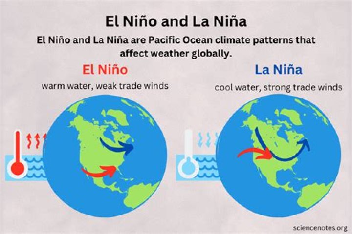 Nina García Wikipedia