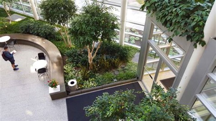Office Greenery Solutions...fast! Interior Gardens
