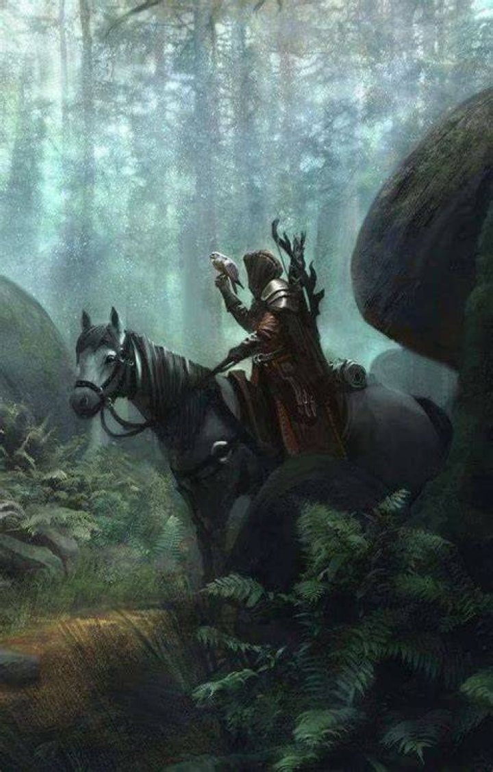 Pin by Randyll Blackwood on Necromancer Fantasy character design