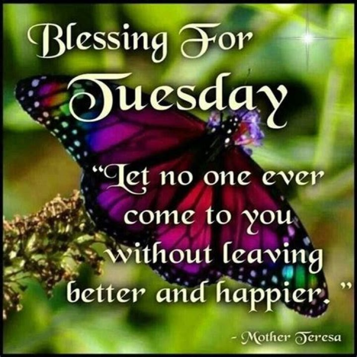 Pin by Tina C. Gonzales on 11216 Blessed wednesday, Wednesday