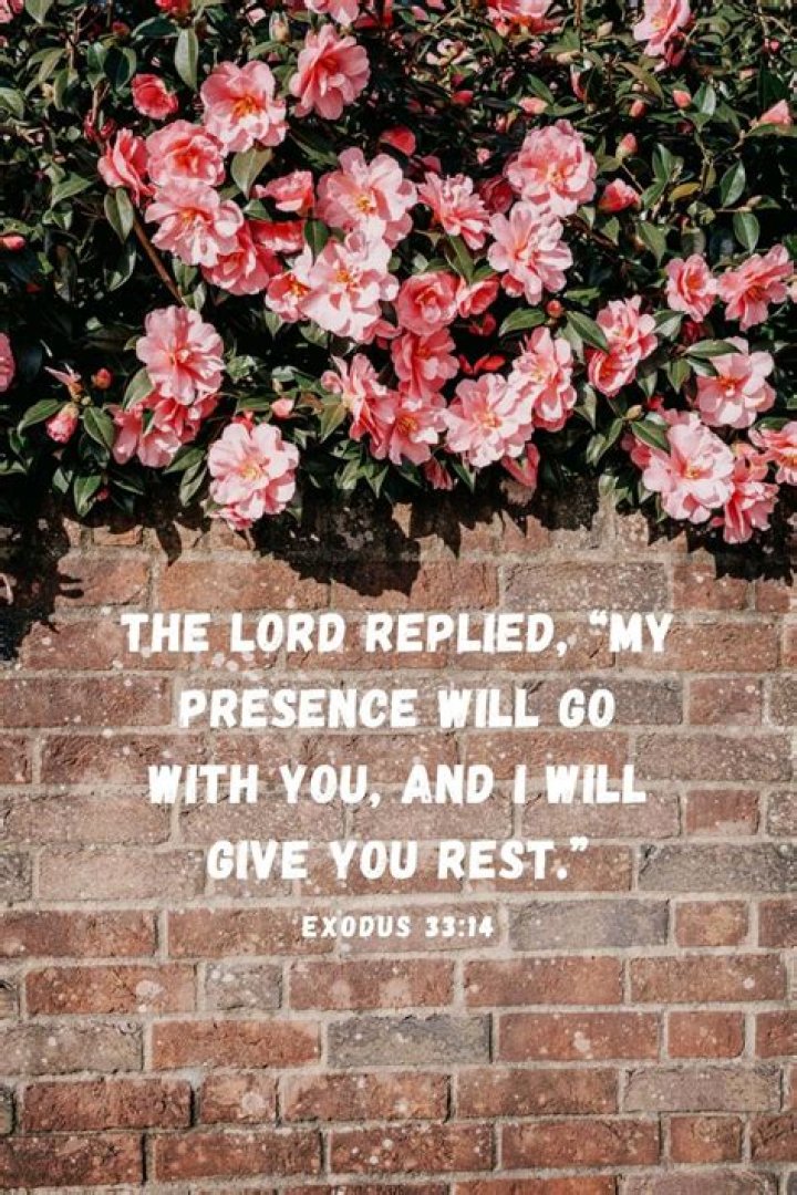Pin on Encouragement