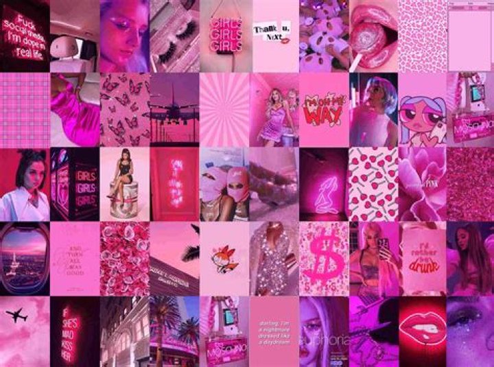 Pink Baddie Aesthetic Collage Wallpaper Laptop dierenambulanceverhalen