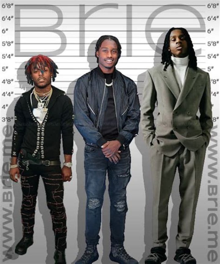 Polo G Height Brie