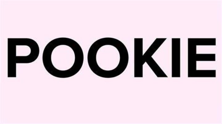 Pookie Slang Meaning What Does Pookie Mean on TikTok? Know Pookie