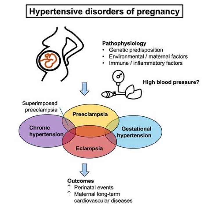 Pregnancy, Gypsy-lupone
