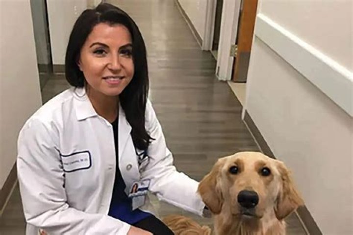 Prominent New York oncologist Krystal Cascetta killed her baby, self