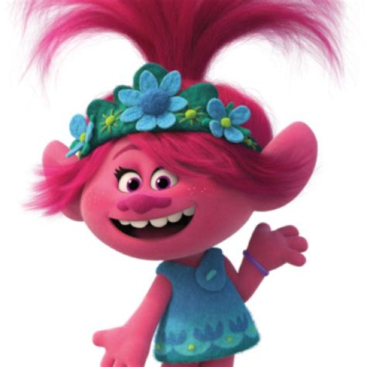 Queen Poppy Trolls (film) Wikia Fandom Poppy and branch, Poppy images, Poppies