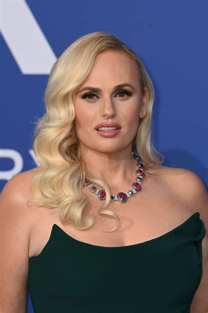 Rebel Wilson's LookAlike Mom Flew to Hold Her Grandkid &mdash; She Was the