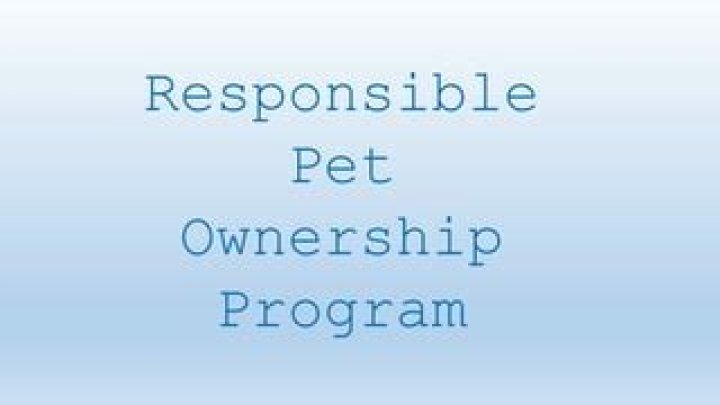 Responsible Pet Ownership, Carmelo-maika