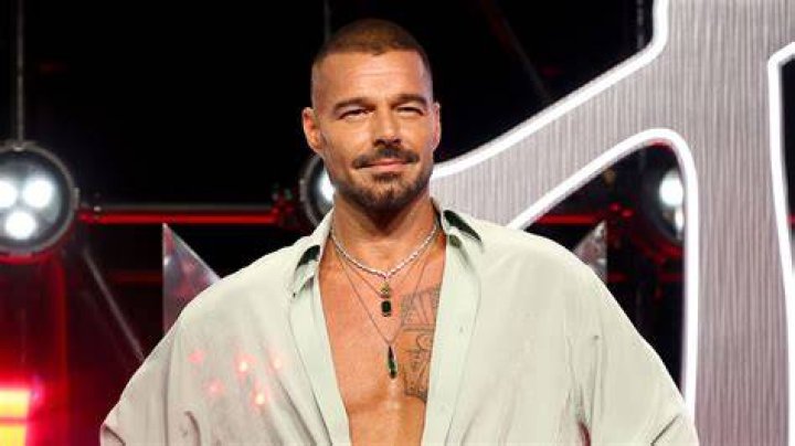 Ricky Martin's Kids LUCIA, RENN, VALENTINO and MATTEO (Unseen VIDEOS