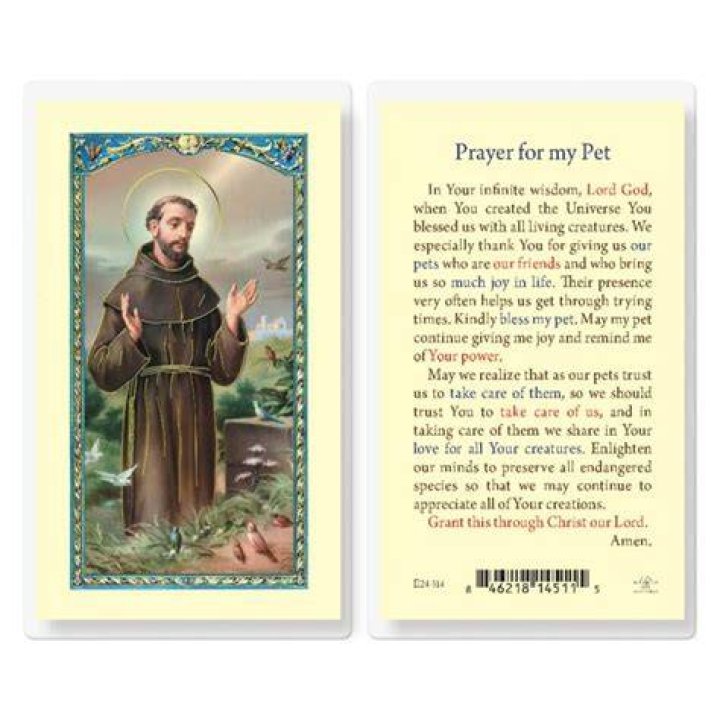 Saint Francis Prayer for My Pet Laminated Holy Card 25 Pack Buy