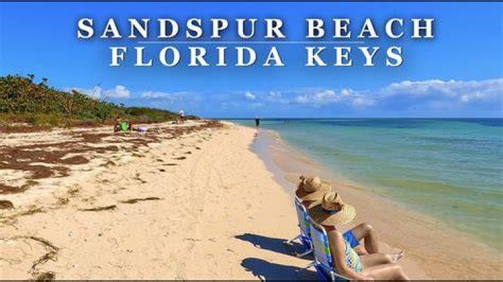Sandspur Beach, Florida