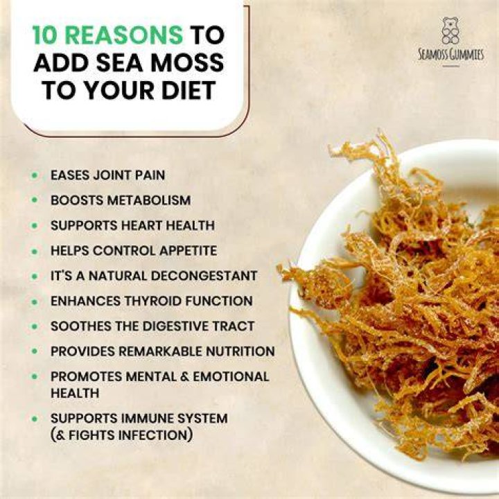 Sea Moss, commonly referred to as Irish Moss in the Caribbean is one of