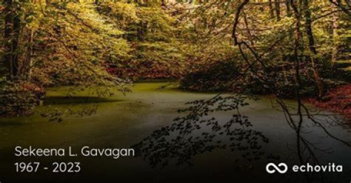 Sekeena Gavagan, public defender, dies of pancreatic cancer obituary