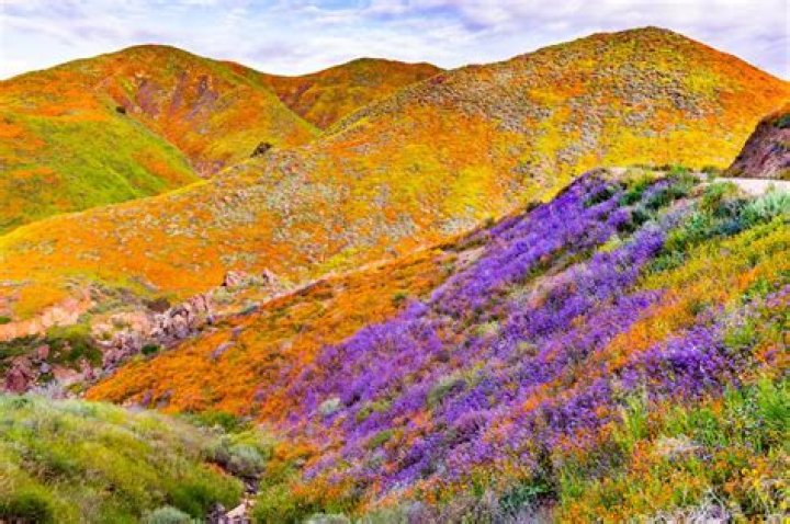 Selma, California A Charming Haven for Adventure