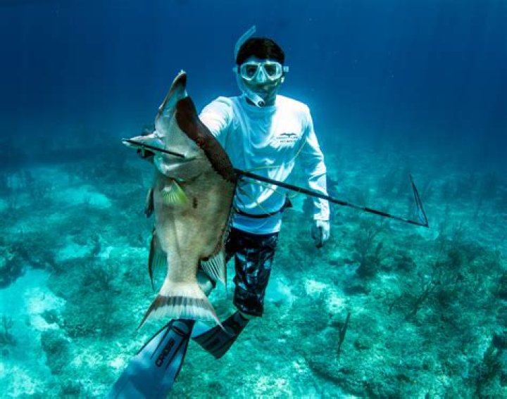 Shark Bites Spearfisherman in Florida Keys YouTube
