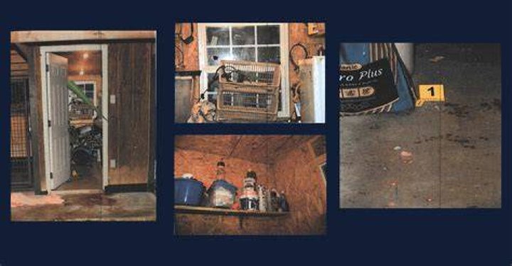 Significance Of Paul Murdaugh Autopsy Photo In Alex Murdaugh Trial