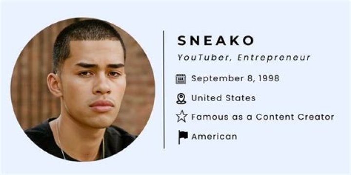 SNEAKO Bio, Age, Net Worth of the YouTube Influencer Blog