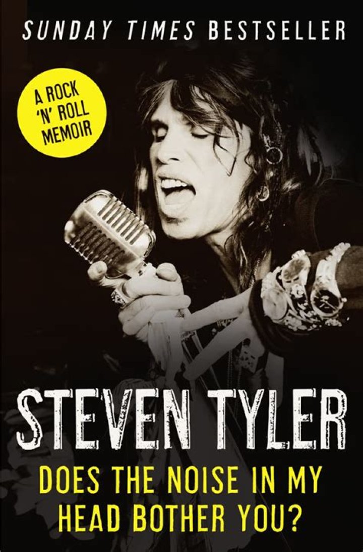Steven Tyler Does the Noise In My Head Bother You? Unabridged CD