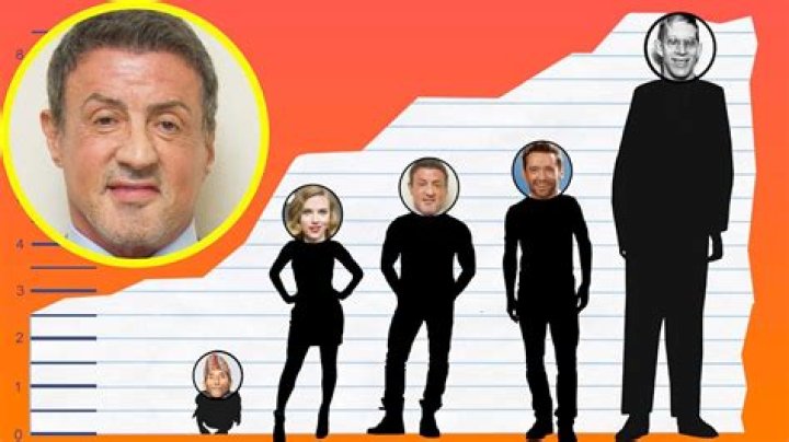 Sylvester Stallone Height Revealed How Tall is The American Actor?