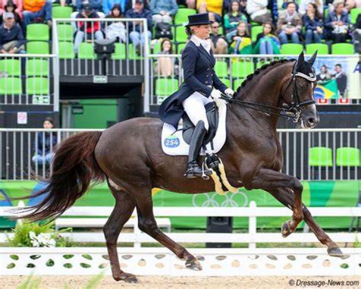 Tanya Seymour's Ramoneur Passed Away