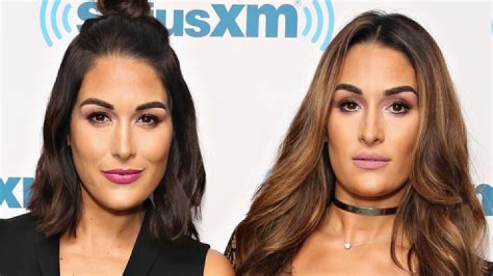 The Bella Twins on The Total Bellas TV Series And What to Expect From