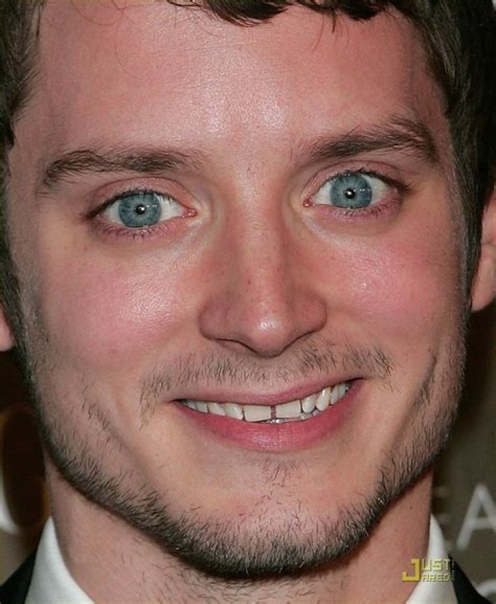 The Facts About Elijah Wood's Height, Net Worth, Marriage and More