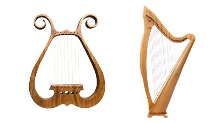 The Harp