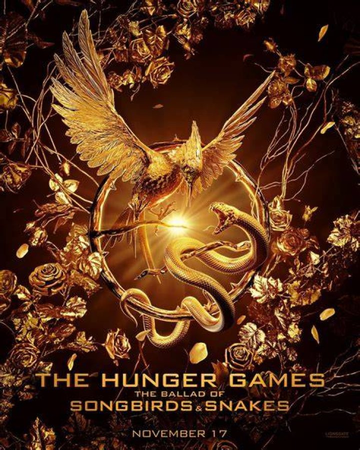 The Hunger Games Prequel Movie Should Have Been About Mags (Not Snow