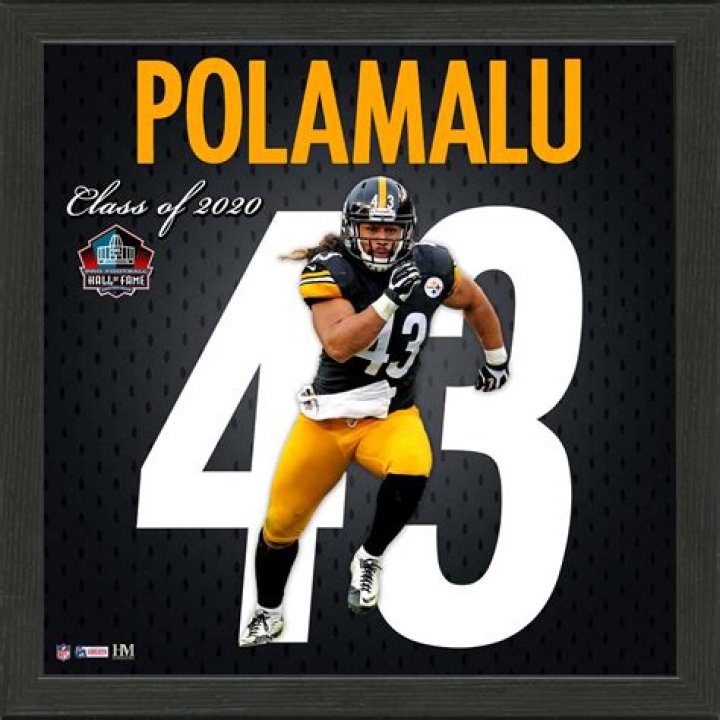 Troy Polamalu Biography, Height & Life Story Super Stars Bio