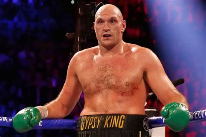 Tyson Fury Career highlights and fights DailyHawker