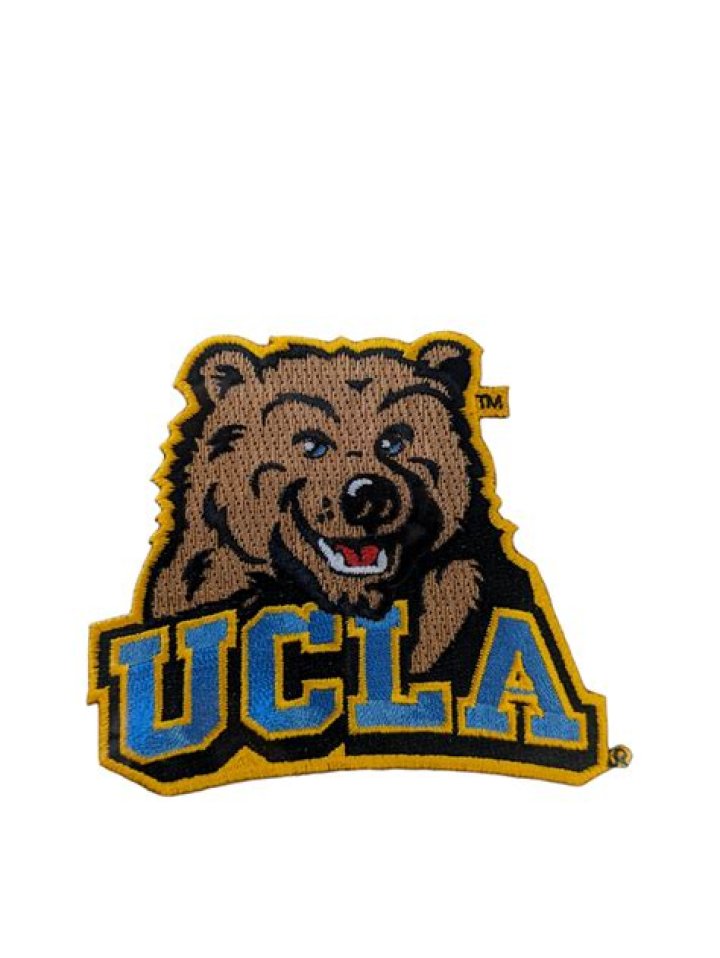 UCLA Bruins Bear Logo Vinyl Decal / Sticker 5 Sizes!!! Sportz For Less