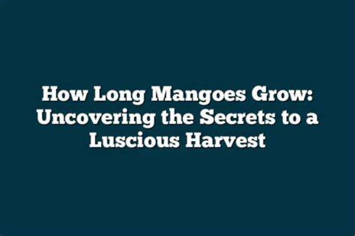 Uncovering The Secrets To A Long And Happy Marriage: Peter Lupus And His Wife