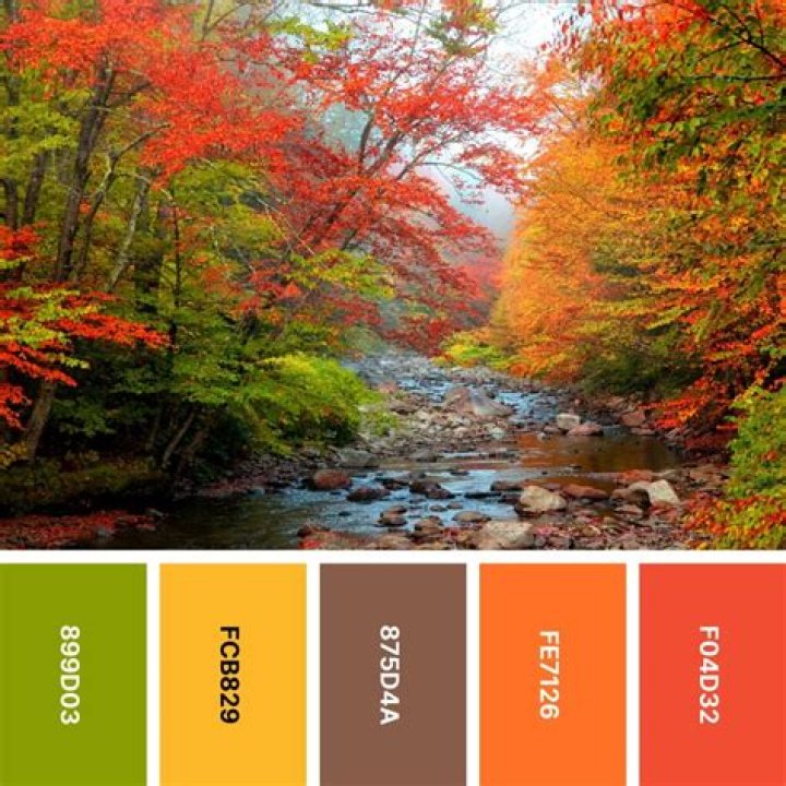 Unveiling The Colors Of Autumn OnlyFans Leaks: A Comprehensive Exploration